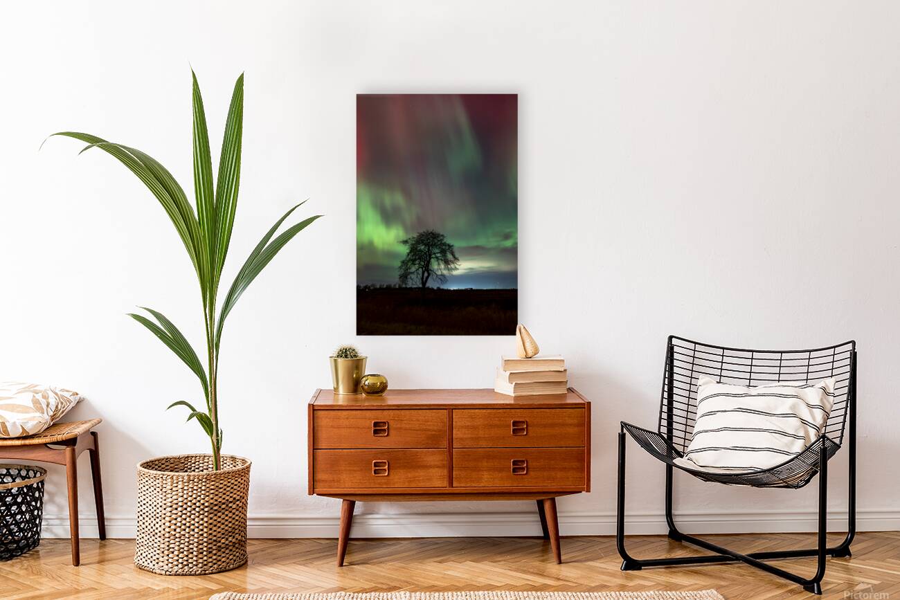 Northern Lights Dance Reproduction