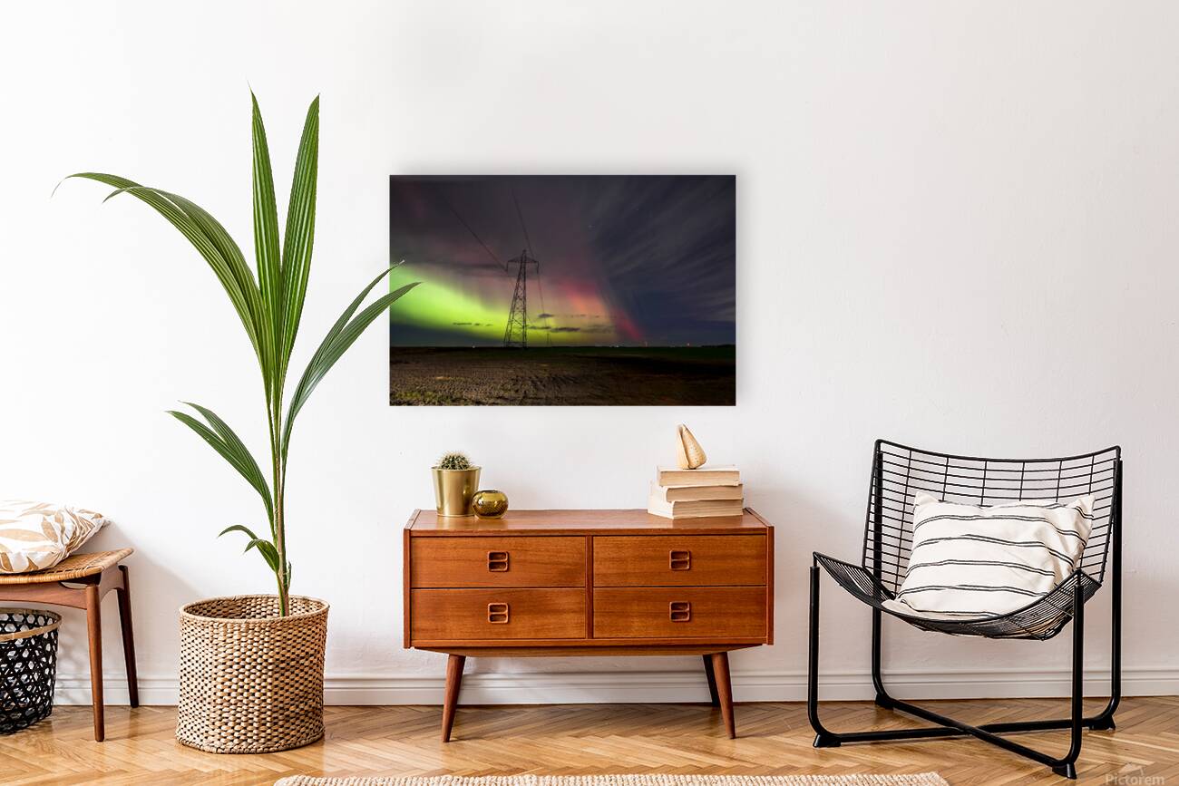 An Electric Night Reproduction