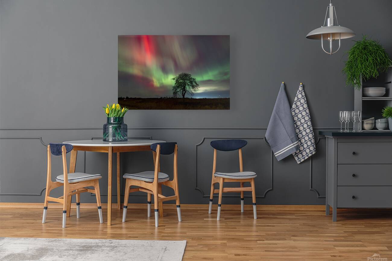 Northern Lights Dance Reproduction