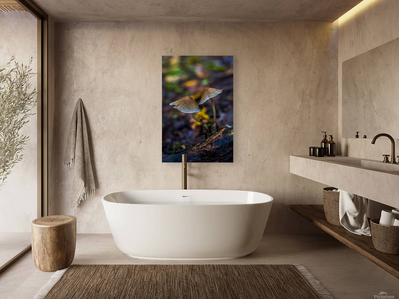 Witchy Mushrooms Reproduction