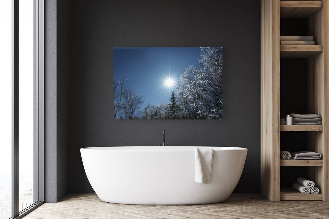 Winter Sunburst Reproduction