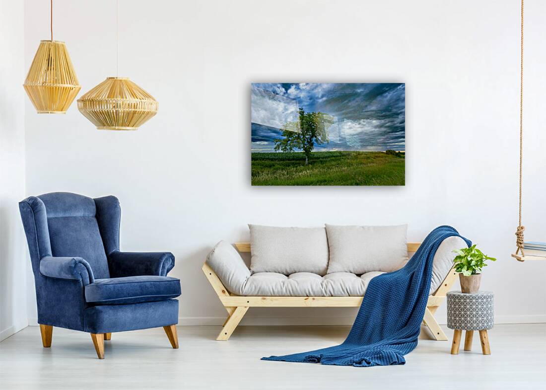 Lone Tree After the Storm Reproduction