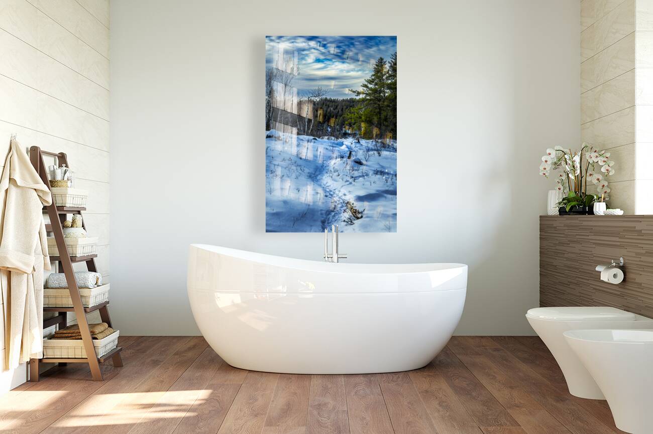 Winter Trail Reproduction