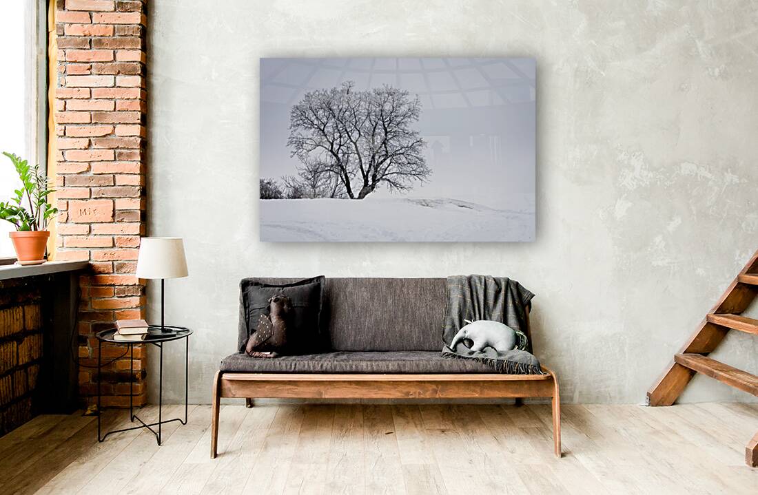 Lone Tree in Hoarfrost Reproduction