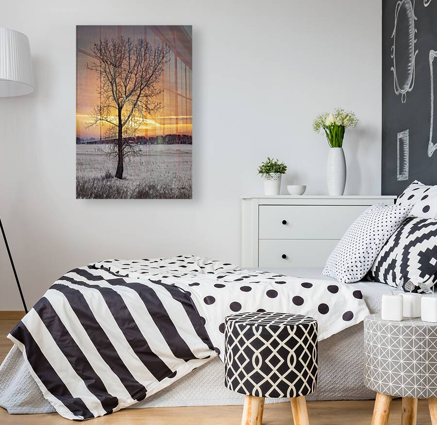 Lone Tree at Sunrise Reproduction