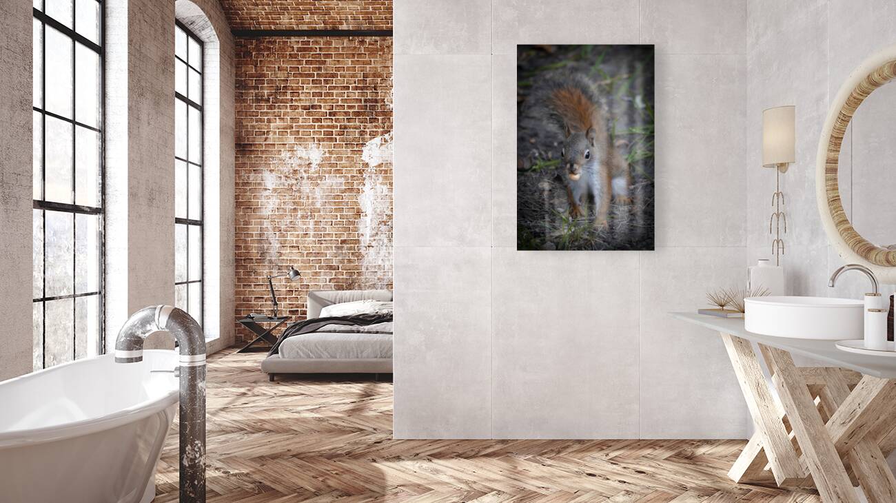 Squirrel Go Nuts Reproduction