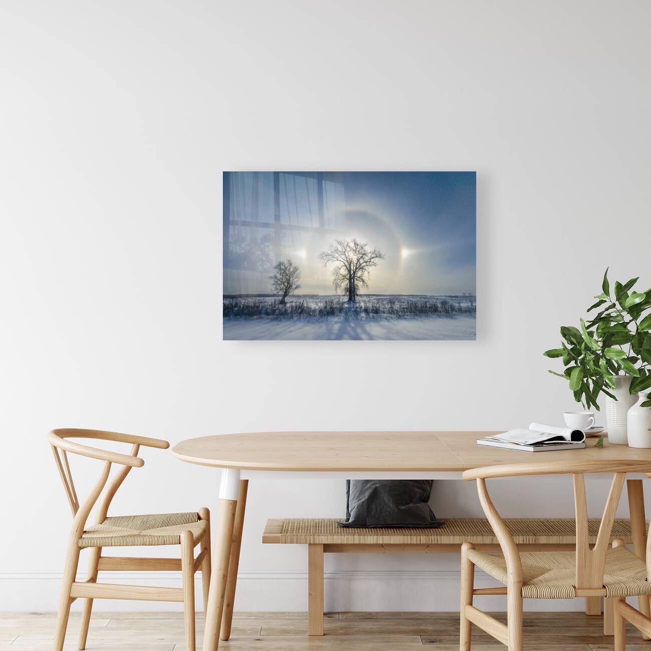 Sundogs Behind Lone Trees Reproduction