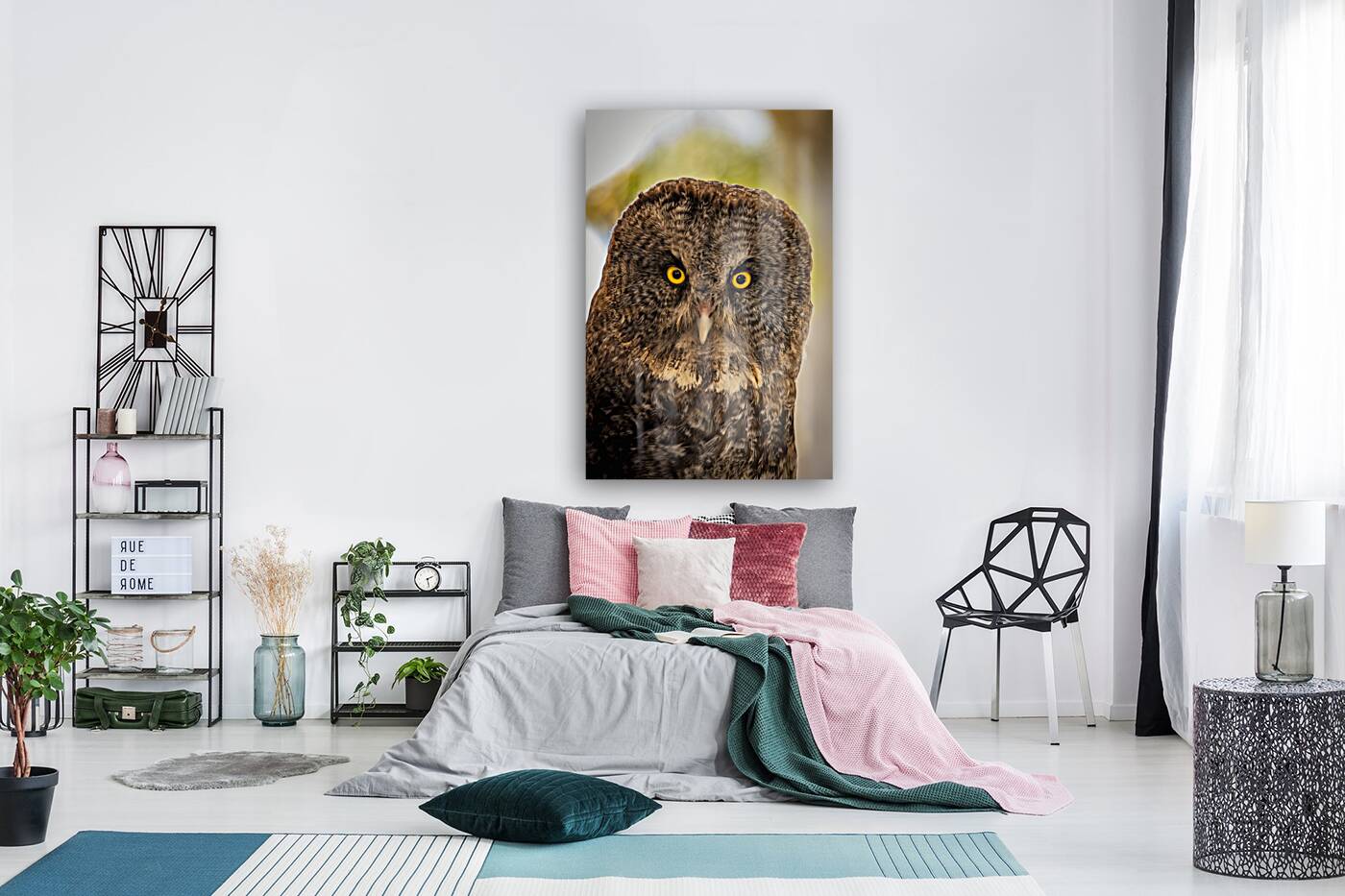 Owls Gaze Reproduction