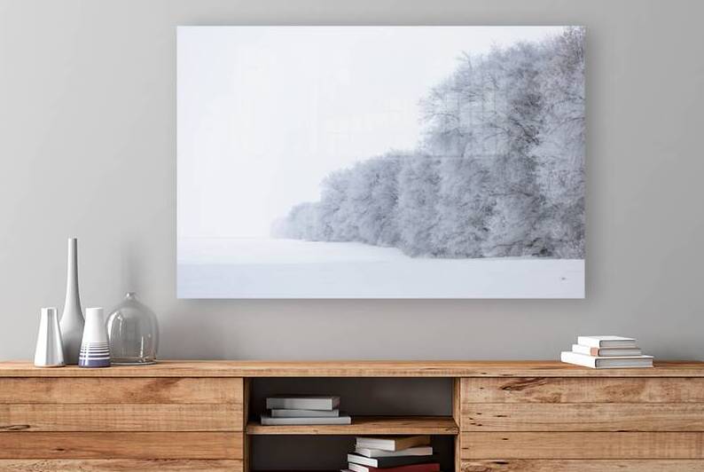 Tree Row in Hoarfrost Reproduction