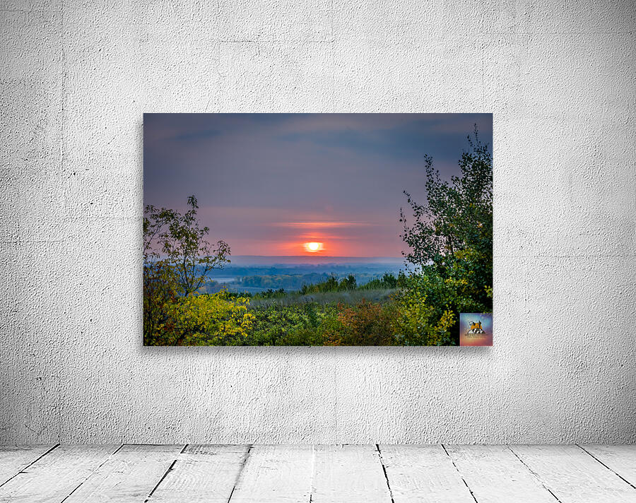 Red Wine Sunset Wall Preview