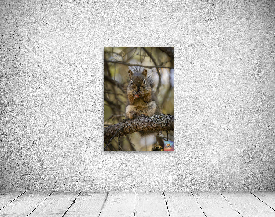 Squirrel in a Tree Wall Preview