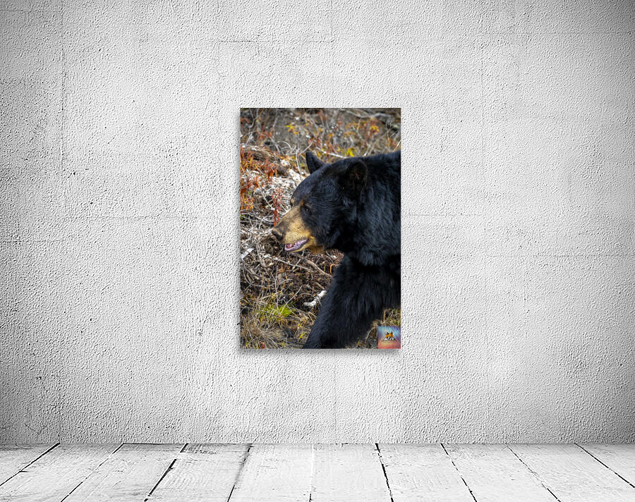 Mama Bear Wall Preview