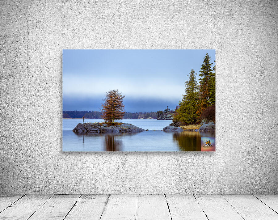 Tree on a Shoal Wall Preview