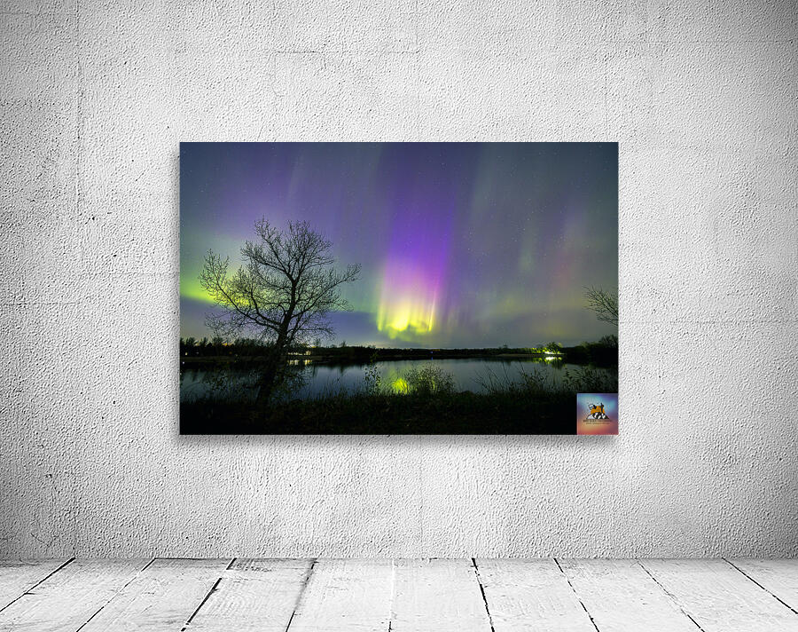 Comet Fall Aurora by lone Tree Wall Preview