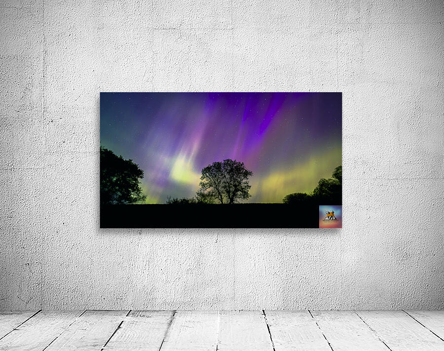 Lone Tree Under Aurora Glow Wall Preview