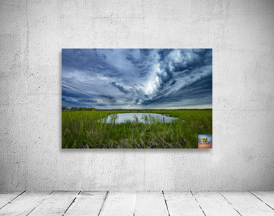 Pasture Under Storm Clouds Wall Preview