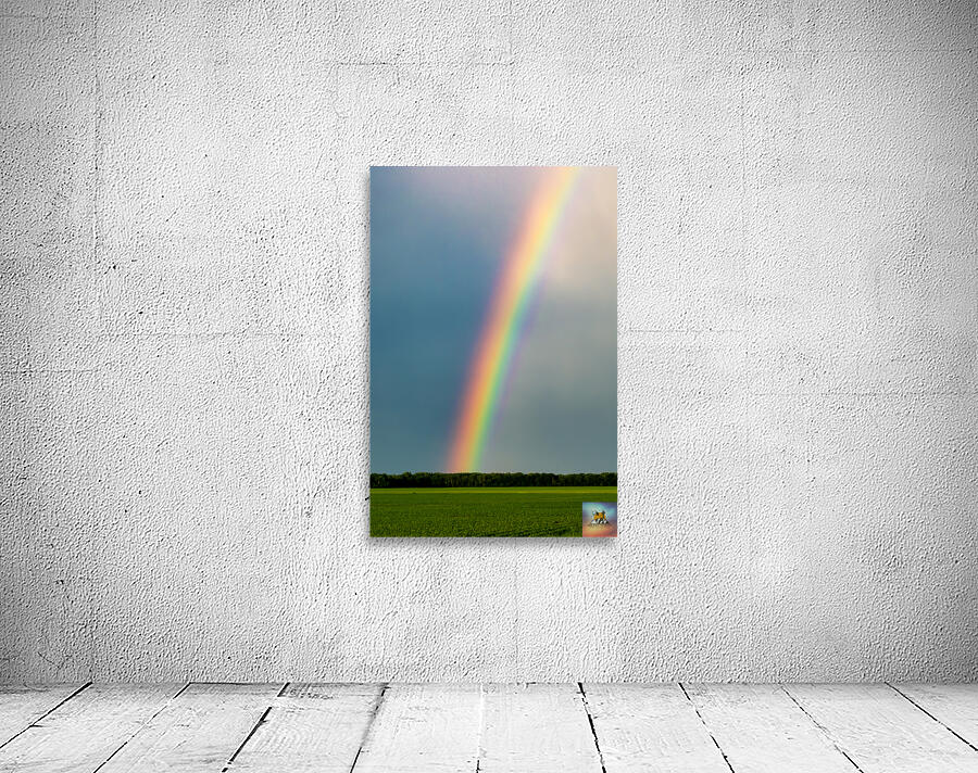 Rainbow in the Prairies Wall Preview