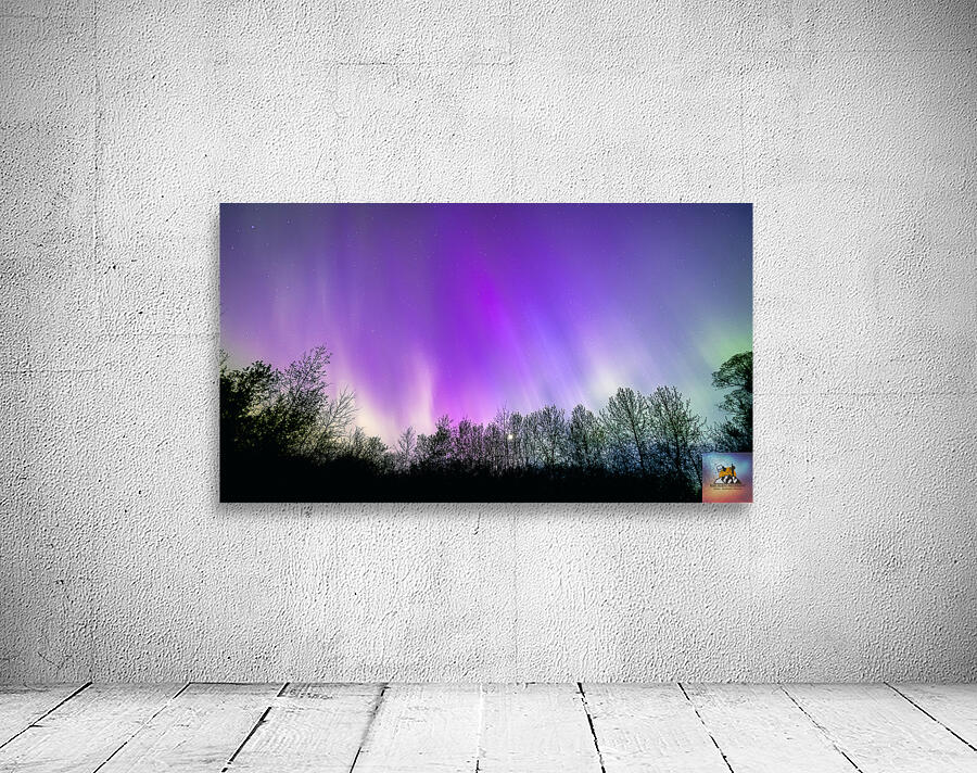 Northern Lights Above the Canopy Wall Preview