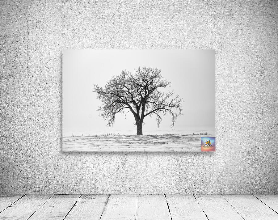 Lone Tree in Snowstorm Wall Preview