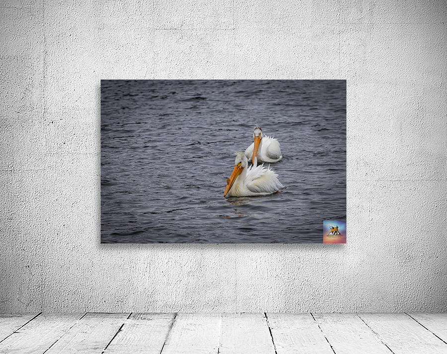 Pelicans Wall Preview