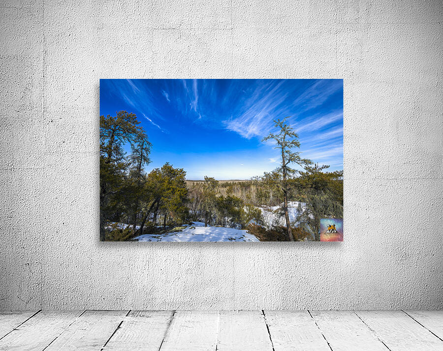 Pine Point Rapids Wall Preview