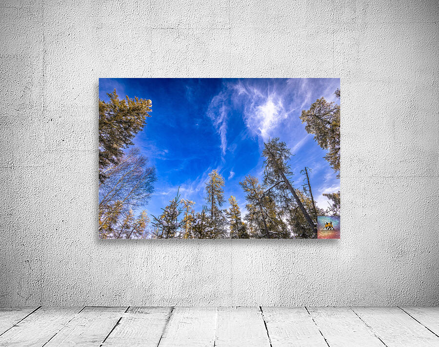 Frosted Trees Wall Preview