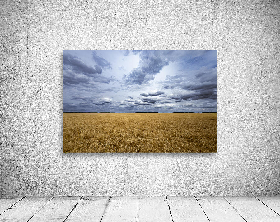 Ripe For Harvest Wall Preview