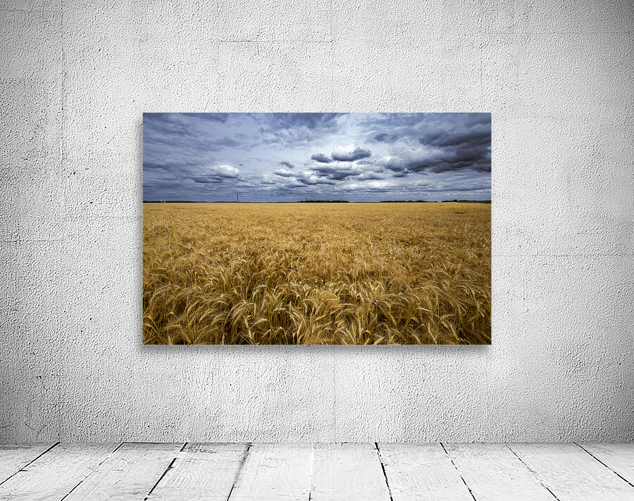 Ripe For Harvest Wall Preview