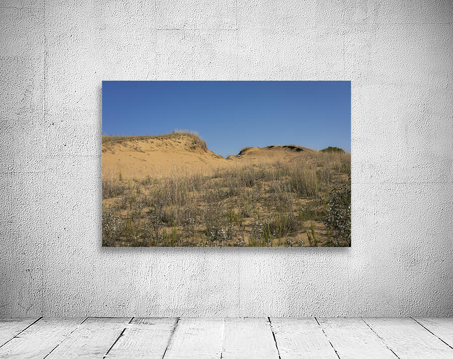 Spruce Woods Wall Preview