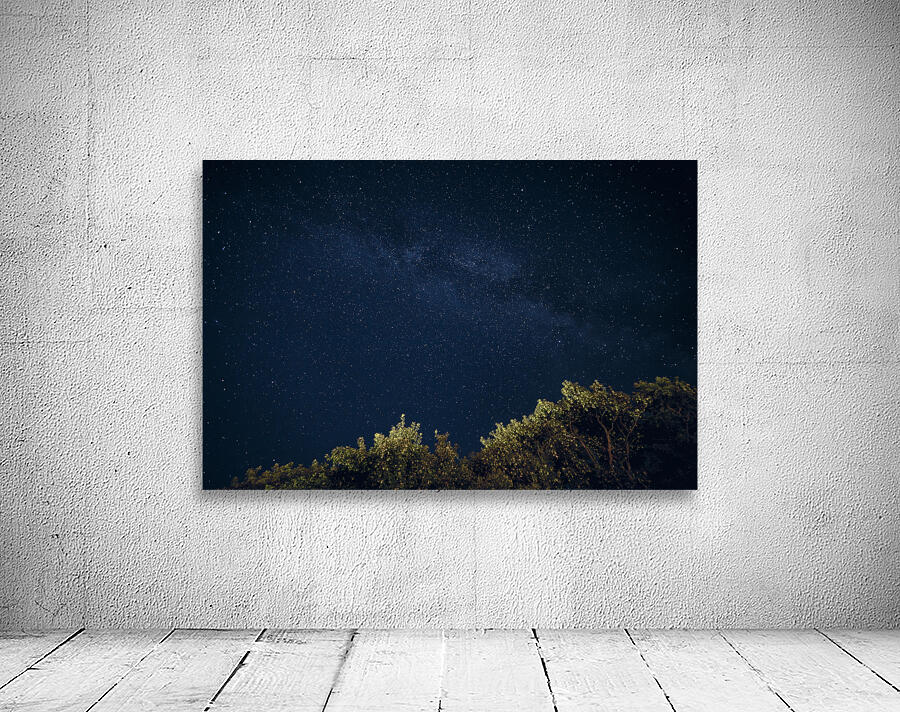 Starry Night Wall Preview