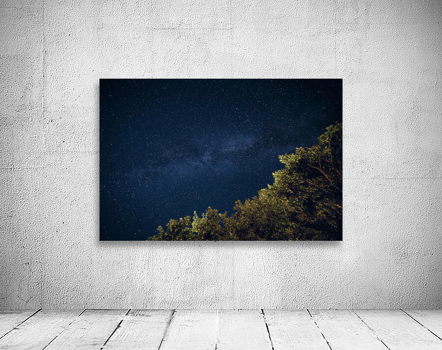 Starry Night Wall Preview