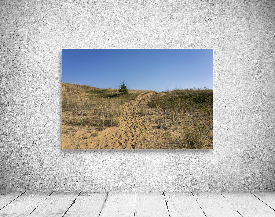 Spruce Woods Wall Preview