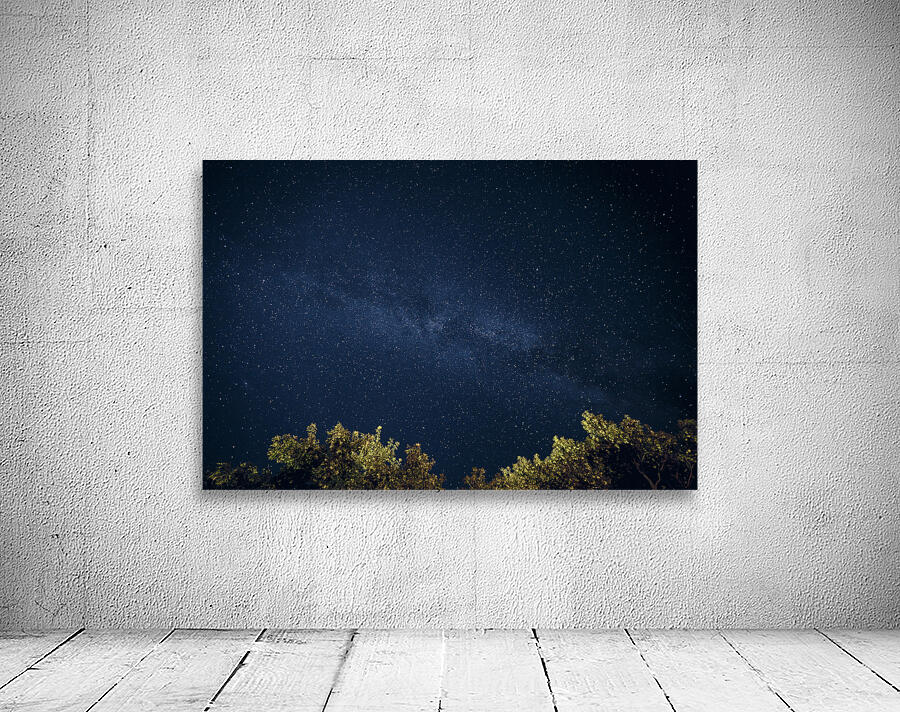 Starry Night Wall Preview