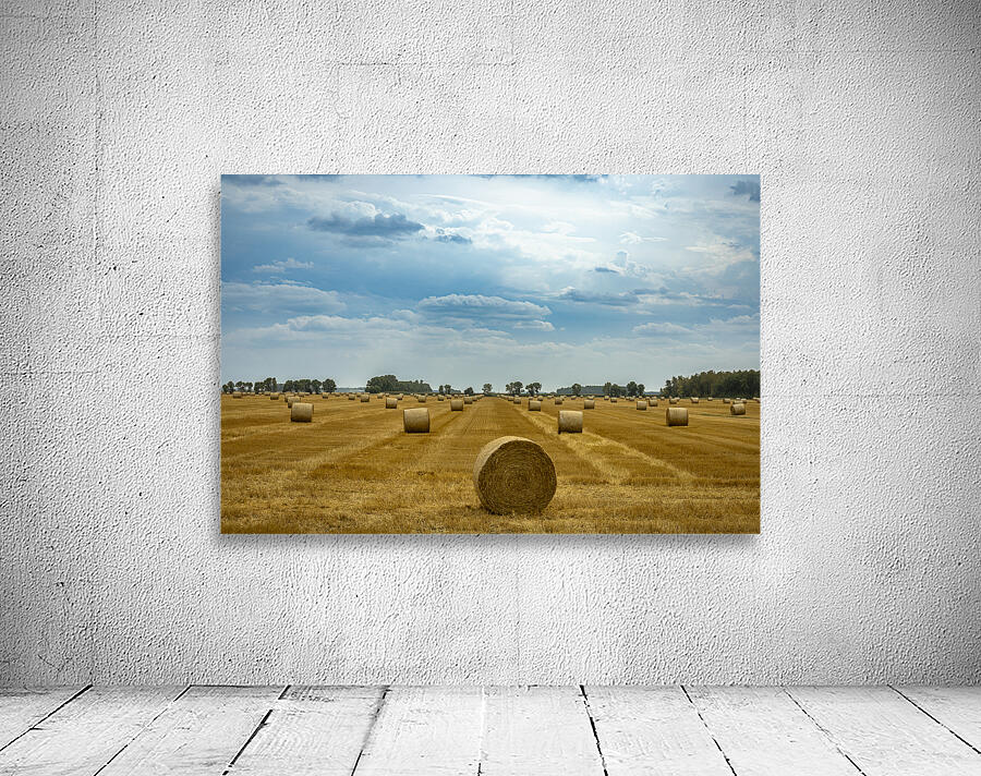 Hay Bales Under a Cloudy Sky Wall Preview