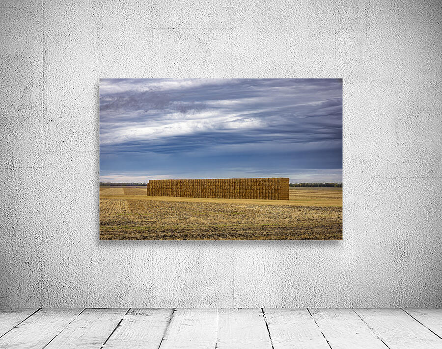 Hay Wall Wall Preview