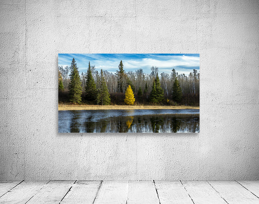 Tamarack Reflection Wall Preview