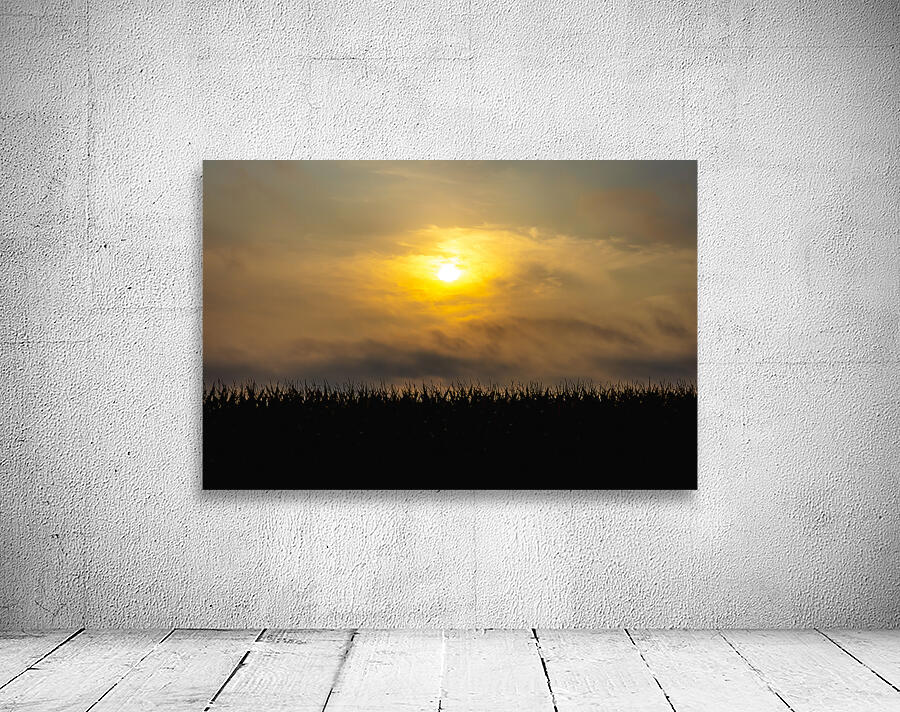 Hazy Sunrise Over Cornfield Wall Preview