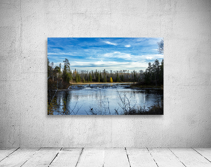 Lone Tamarack Tree Behind the Falls Wall Preview