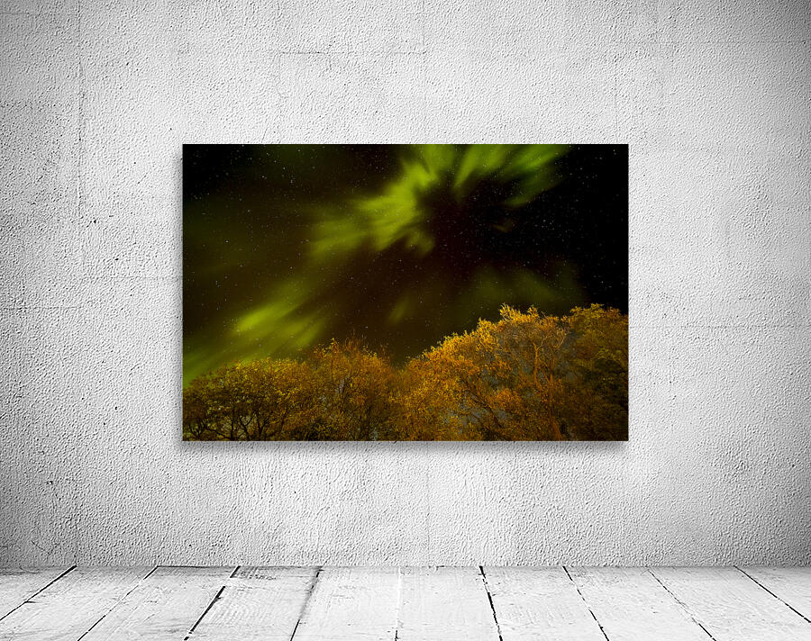 Northern Light Above the Canopy Wall Preview