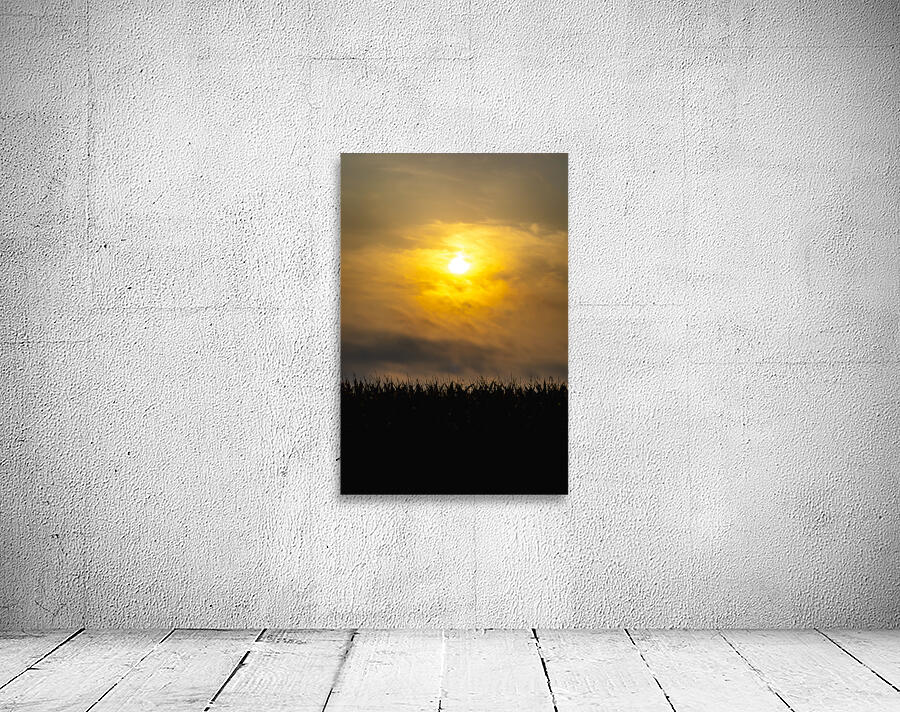 Hazy Sunrise Above Corn Field Wall Preview