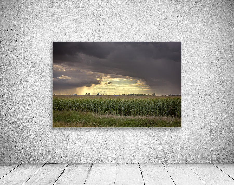 Archway of Light Wall Preview