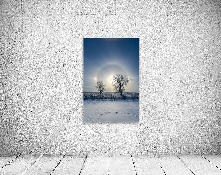 Sundogs Behind Lone Trees Wall Preview