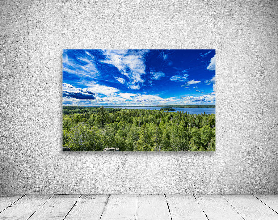 Looking at Falcon Lake Wall Preview