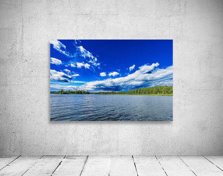 Falcon Lake Wall Preview