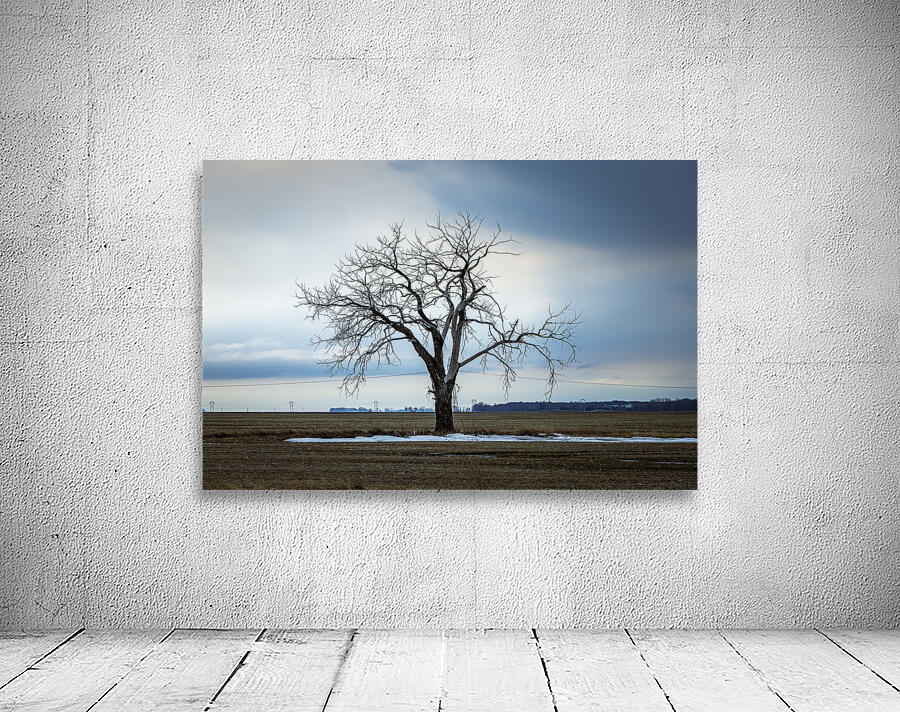 The Last Stand Wall Preview