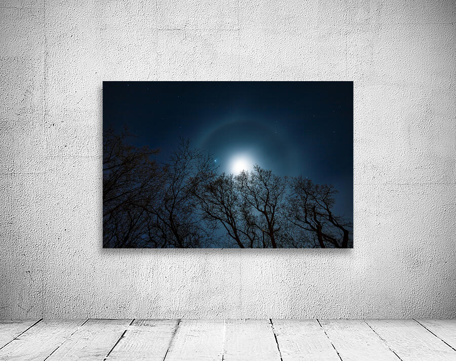 Moon Halo Above the Canopy Wall Preview