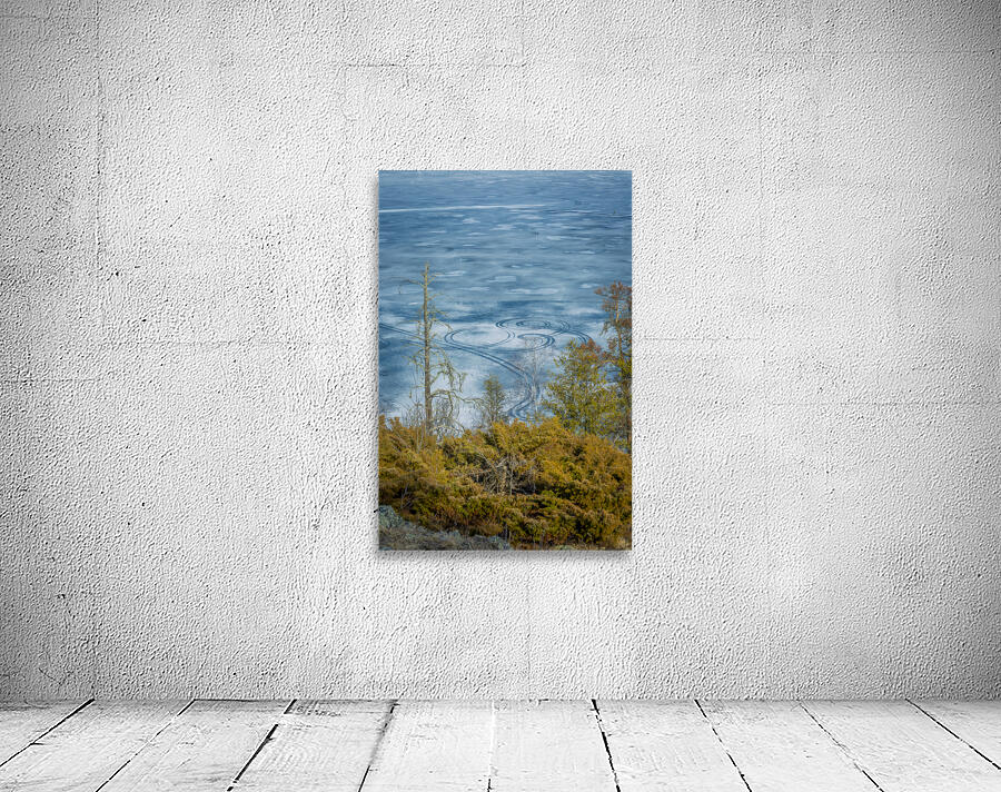 Ice Circles Wall Preview