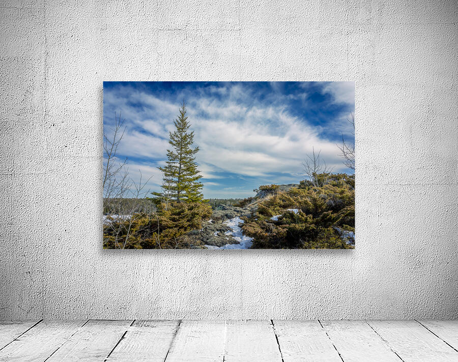 Dragon Fire Trail Wall Preview