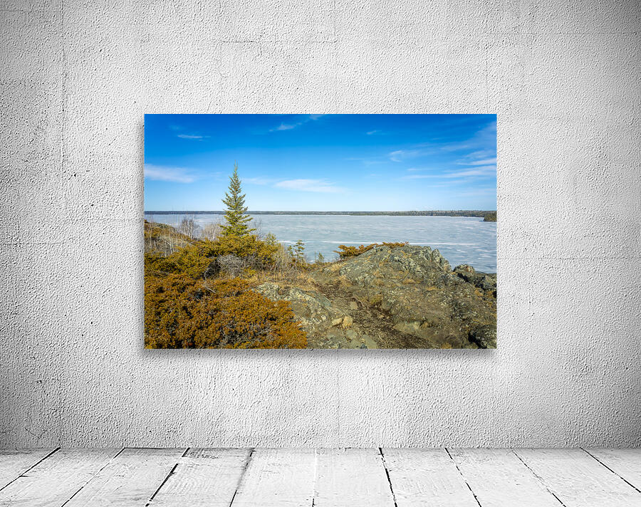 Dragon Fire Trail Wall Preview