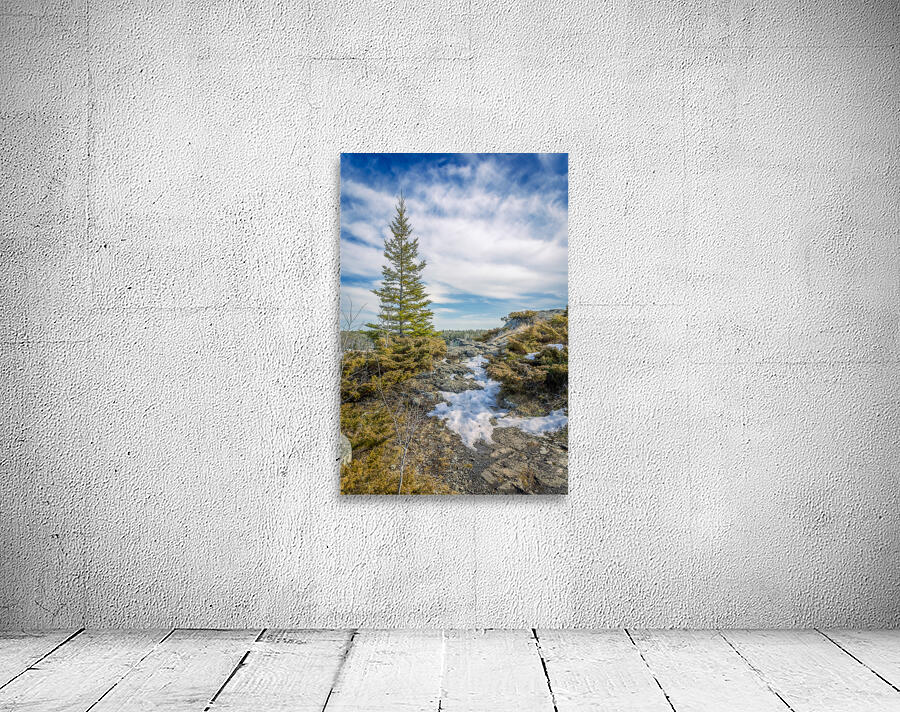 Dragon Fire Trail Wall Preview